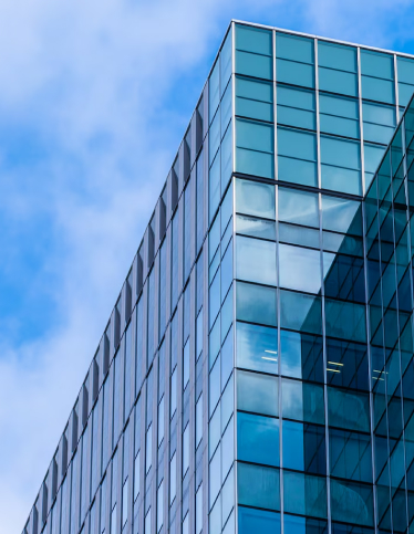 New Palandöken Emlak Ofisi